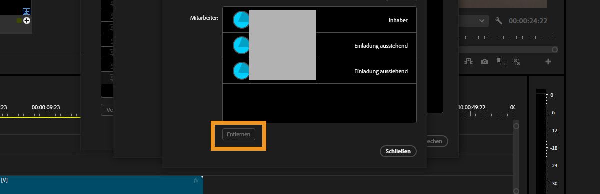 Das Dialogfeld „Mitarbeiter bearbeiten“ unter „Team-Projekt-Einstellungen“ ist geöffnet und listet Mitwirkende auf, die du auswählen und aus Team Projects entfernen kannst.