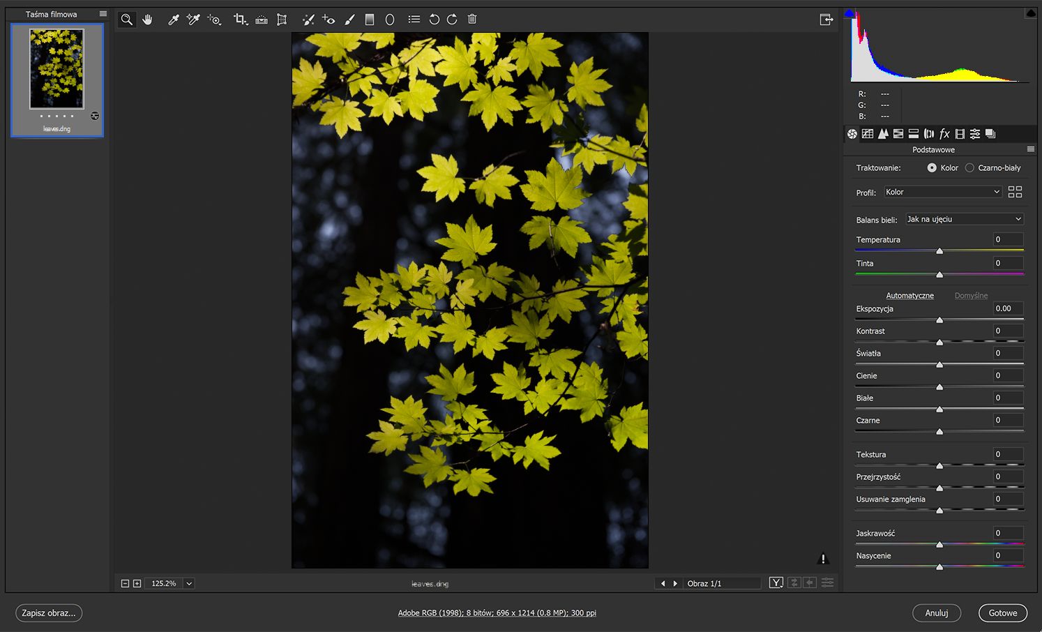 Zdjęcie do edycji w programie Camera Raw