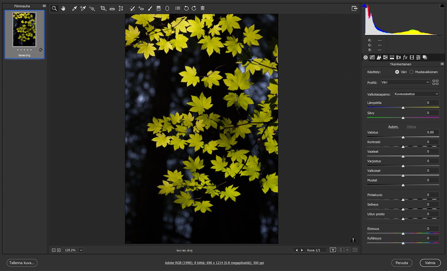 Camera Raw’ssa muokattava valokuva