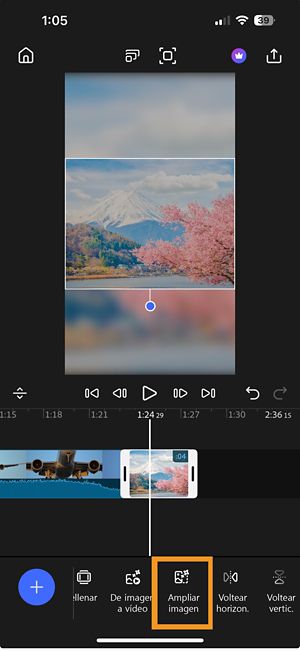 La opción Expandir imagen destacada en la barra de herramientas para ampliar la imagen seleccionada en la línea de tiempo.