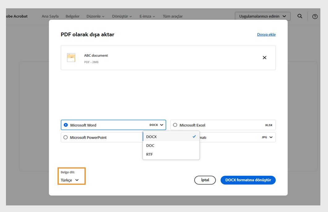 PDF'yi Dışa Aktar iletişim kutusunda seçilen dosya ve dönüştürülebilecek 4 dosya formatı seçeneği gösterilir: Microsoft Word, Excel, PPT ve Görüntü. 