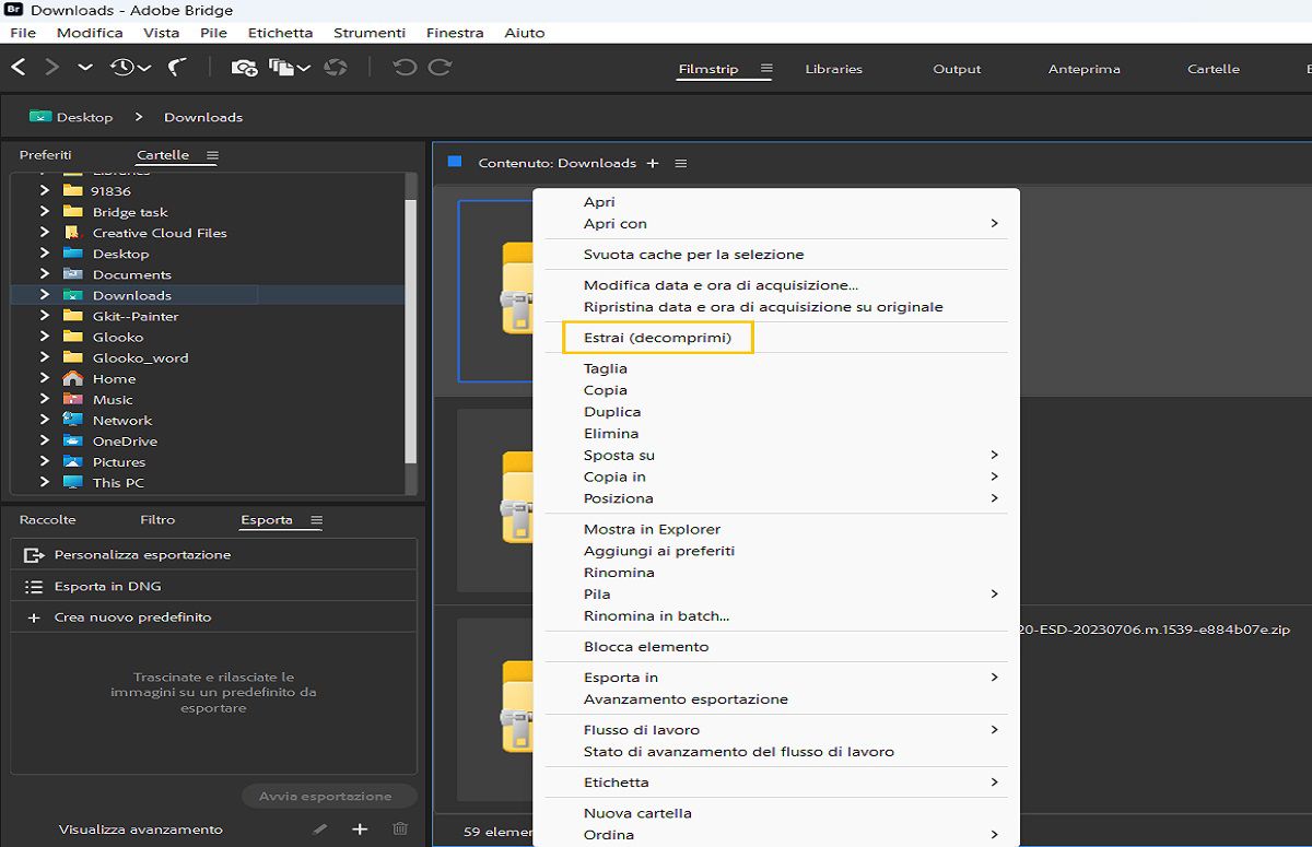 Estraete facilmente i file in Adobe Bridge.