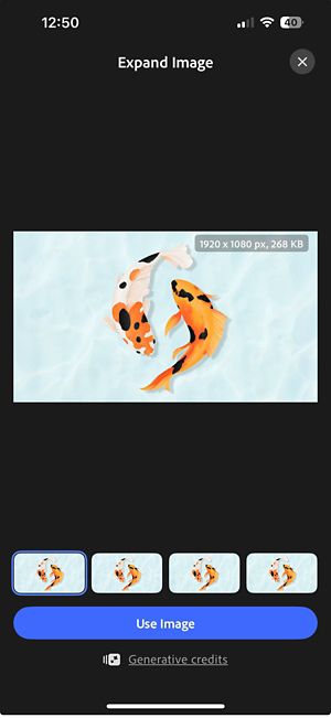 Four generated expanded image options shown side by side with controls to preview and choose the preferred one by tapping Use Image.