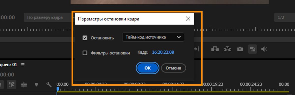 Диалоговое окно «Параметры удержания кадра» показывает, что параметр «Удержание установлено на исходный таймкод», значение таймкода кадра и параметр «Фильтры удержания».