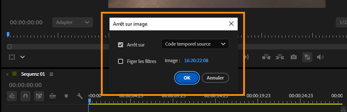 Boîte de dialogue Options d'arrêt sur image montrant Maintenir sur défini sur Code temporel source, avec une valeur de code temporel d'image et l'option Maintenir les filtres.