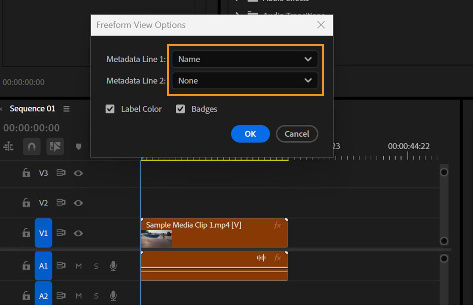 La finestra di dialogo Freeform View Options è aperta e mostra i valori selezionati per i campi Metadata Line 1 e Metadata Line 2, con le caselle di controllo Label Color e Badges selezionate.