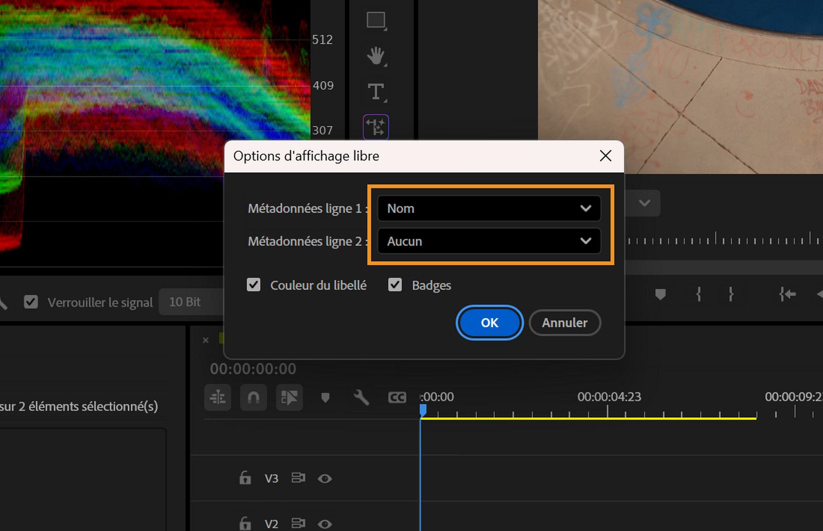 La boîte de dialogue Options d’affichage libre est ouverte, montrant les valeurs sélectionnées pour les champs Ligne de métadonnées 1 et Ligne de métadonnées 2, avec les cases à cocher Couleur du libellé et Badges sélectionnées.