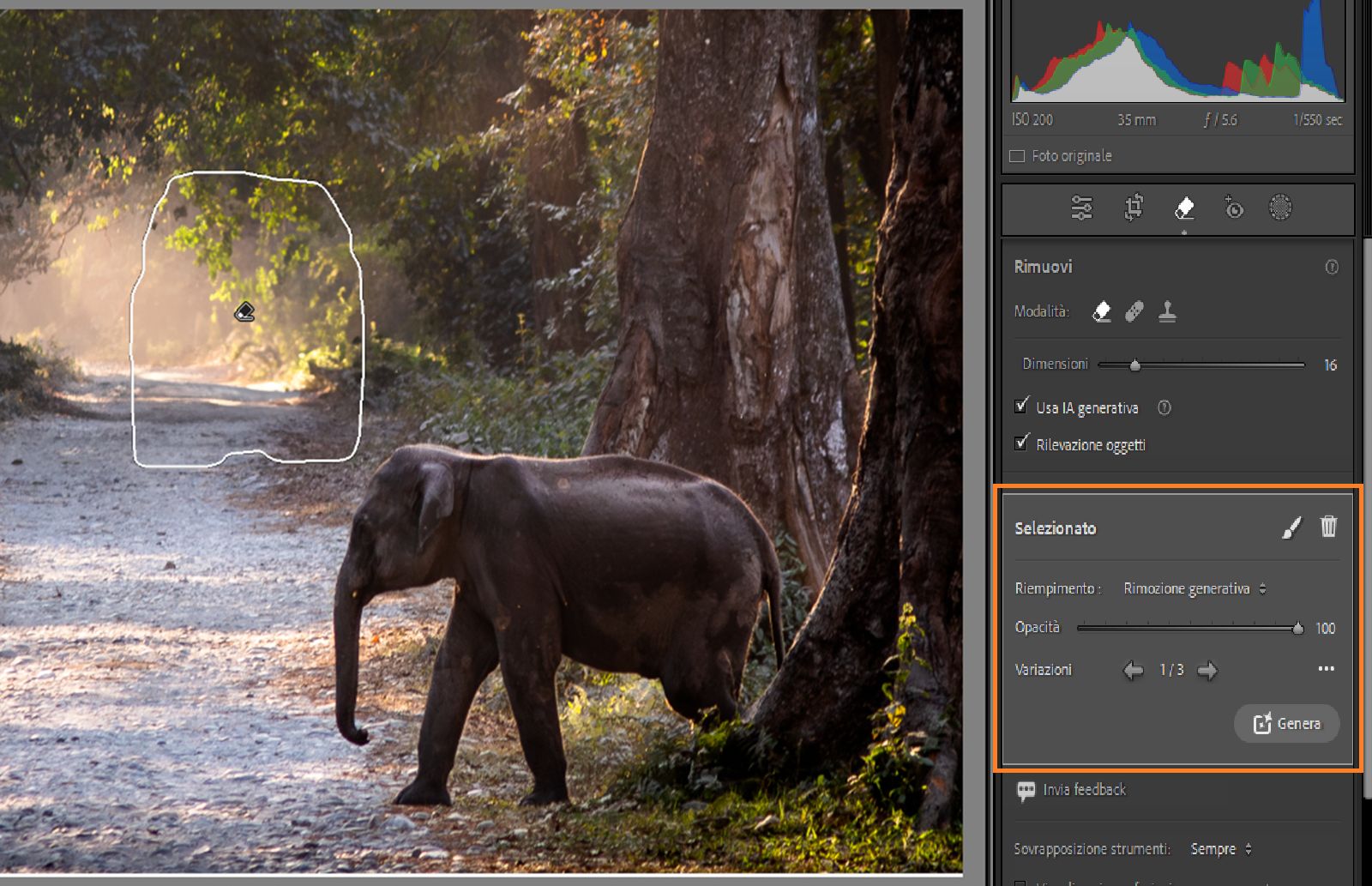 Miglioramento rimozione generativa