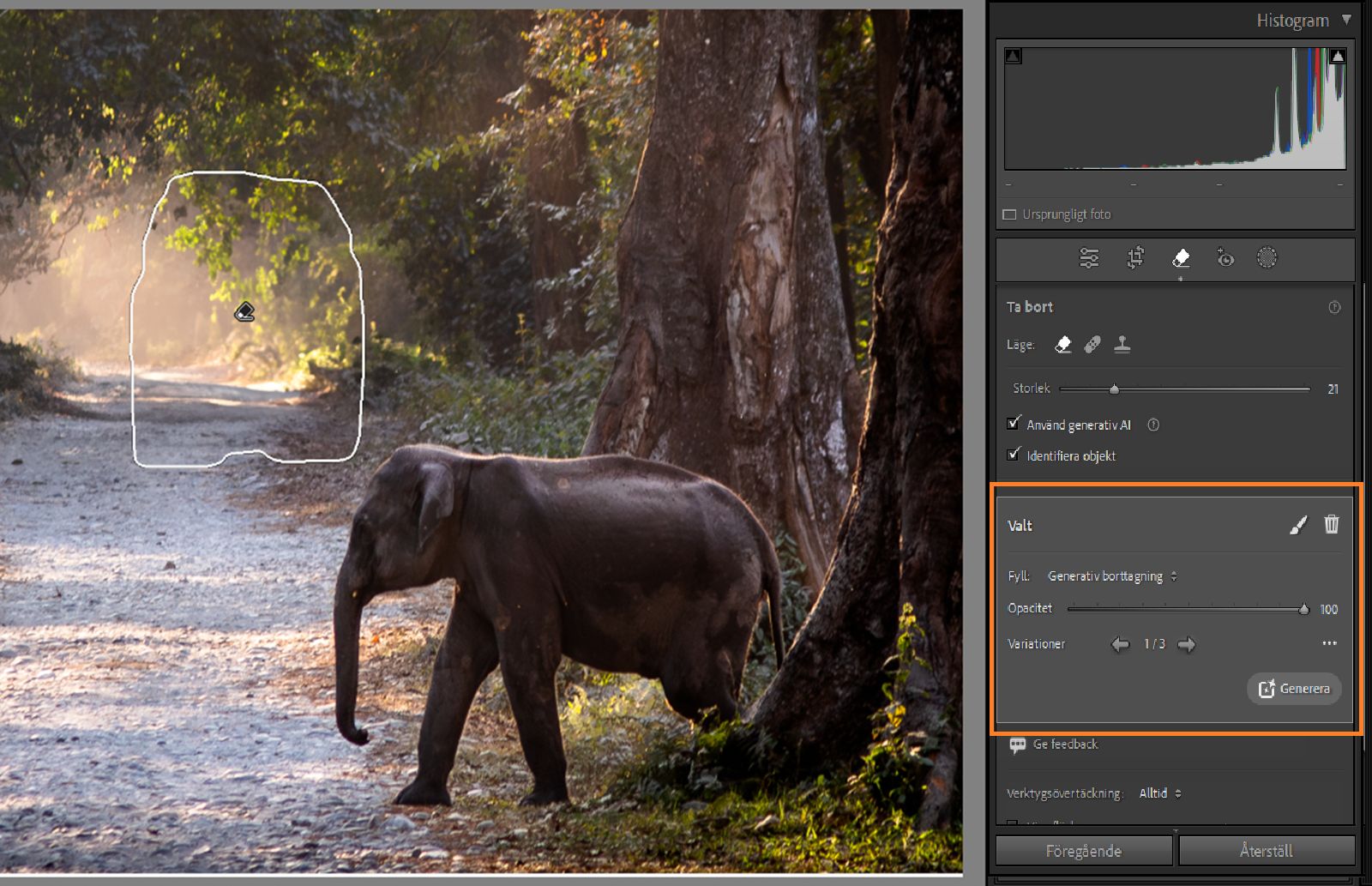 Finjustering med Generativ borttagning
