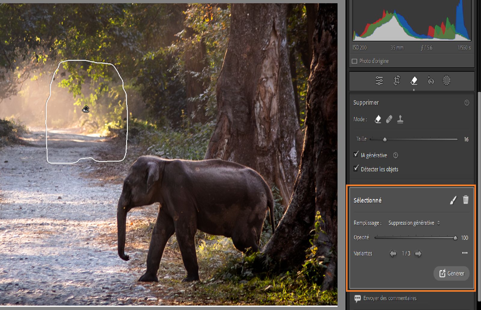 Affinage de la suppression générative