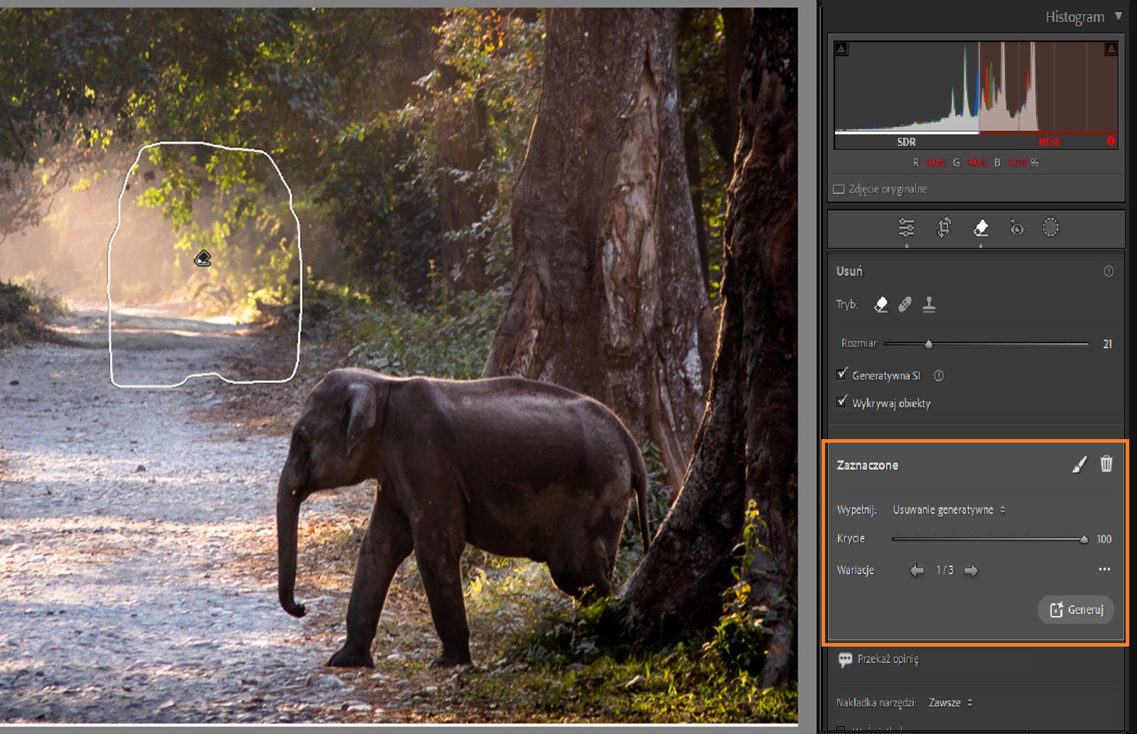 Generatywne usunięcie korekty