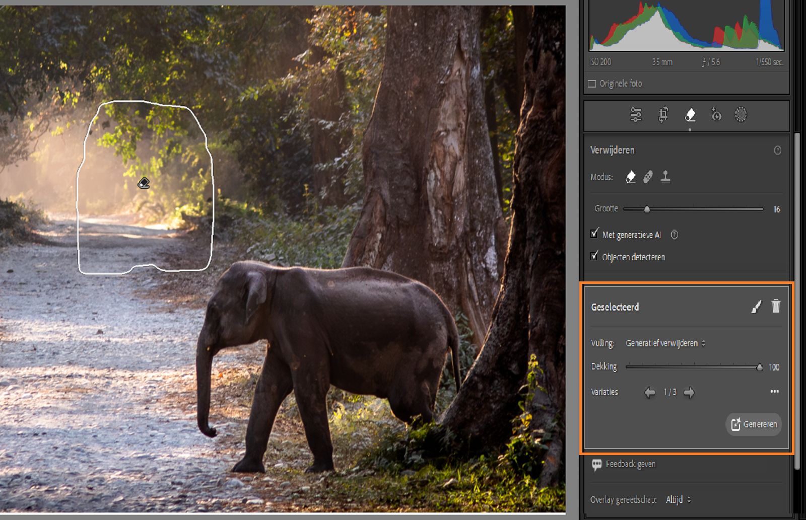 Verfijning generatief verwijderen