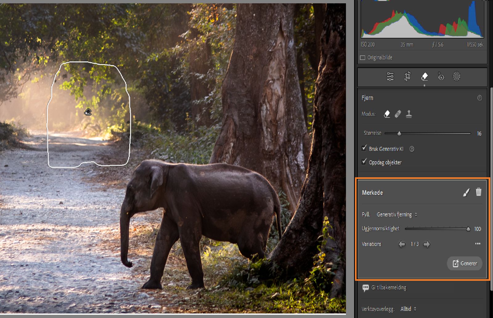 Finjustering med Generativ fjerning