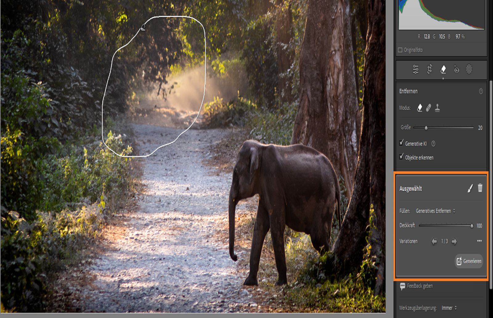 Verfeinerung des generativen Entfernens