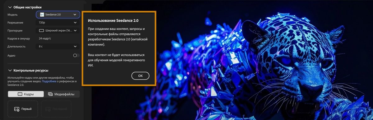 Страница создания видео показывает выбранную модель Seedance 2.0 и диалоговое окно информации о партнерской модели.