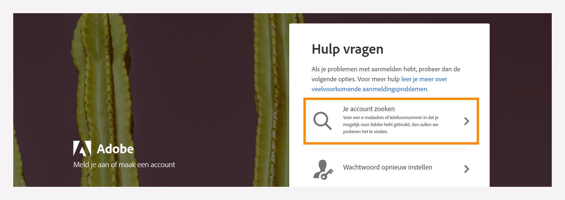 Venster Hulp vragen met de optie Je account zoeken om uw geregistreerde Adobe-account te vinden.