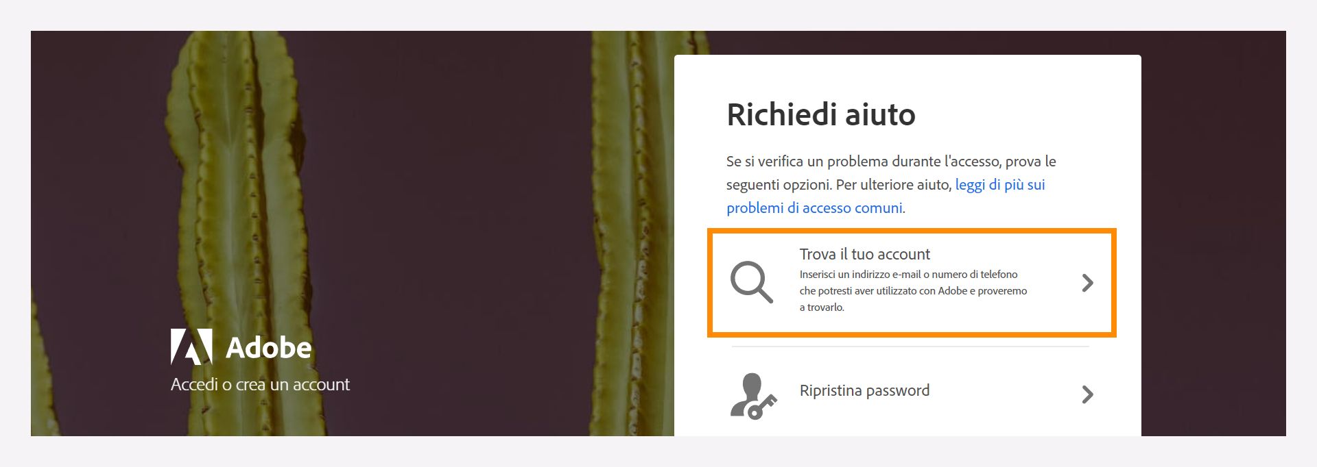 Finestra per richiedere assistenza con l’opzione Trova il tuo account per trovare l’account Adobe registrato.