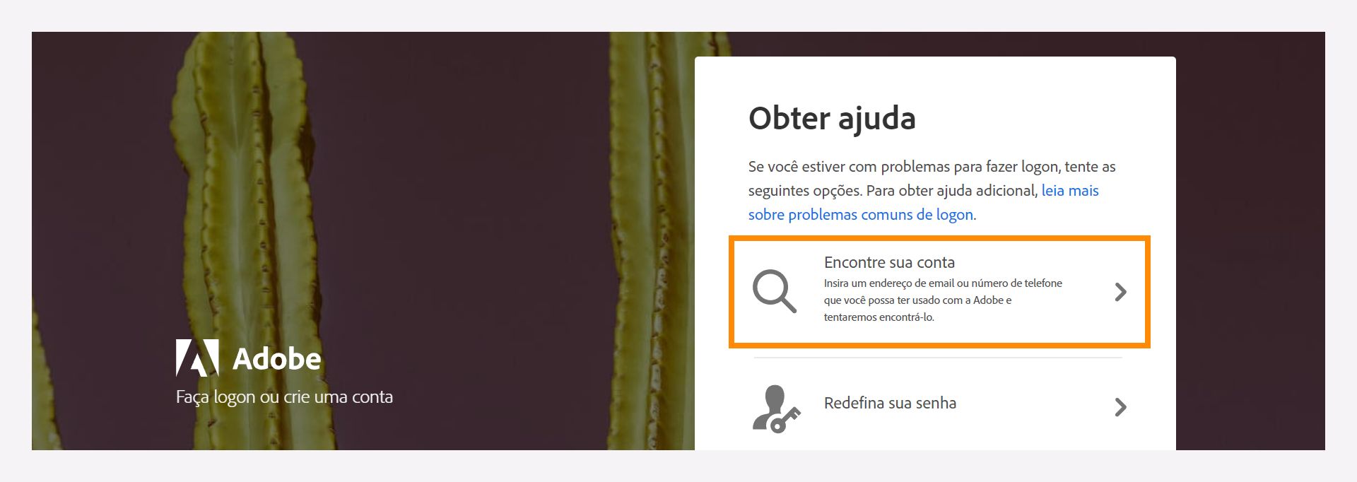Janela Obter ajuda com a opção Encontre sua conta para encontrar a conta da Adobe registrada.