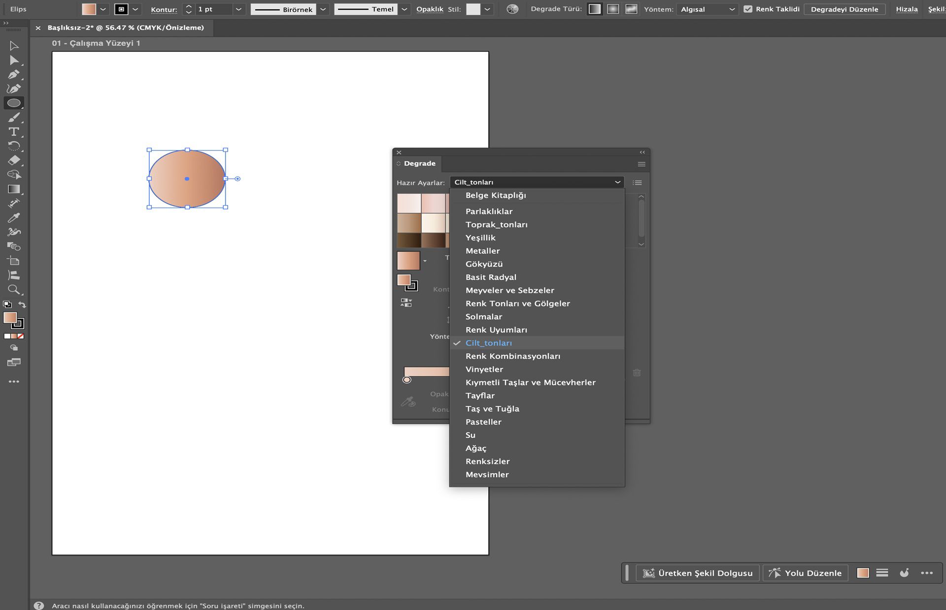 Illustrator'da, bir daire şekline cilt tonu degradesi uygulanmış hazır ayar seçeneklerini gösteren degrade paneli.