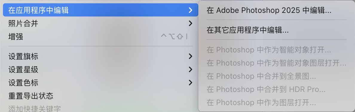 “在 Photoshop 中编辑”窗口的屏幕快照，其中包含灰显的功能