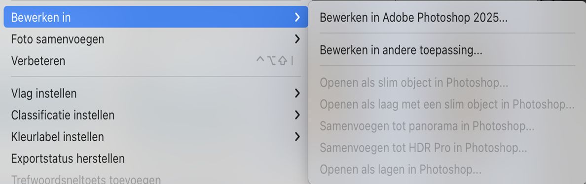 Een schermafbeelding van een bewerking in een Photoshop-venster waarin mogelijkheden grijs zijn weergegeven