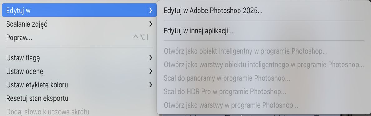Zrzut ekranu okna edycji w programie Photoshop z wyszarzonymi funkcjami