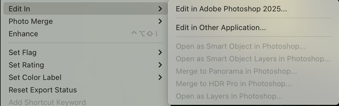 A screenshot of a edit in photoshop window with greyed out capabilities