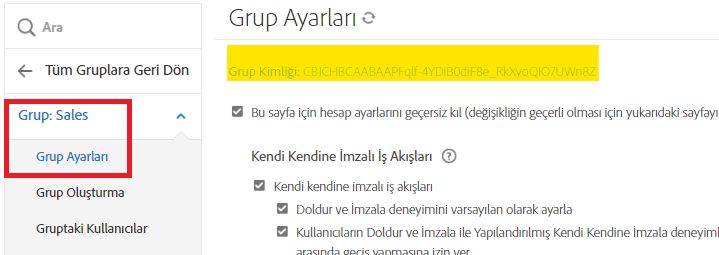 Grup Kimliğinin vurgulandığı Grup Ayarları sekmesi