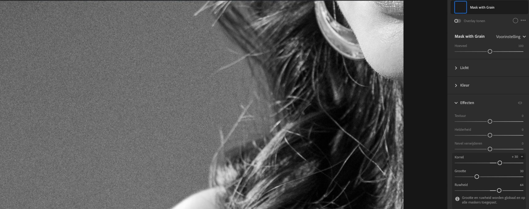 De schuifregelaar Korrel in het deelvenster Effecten.
