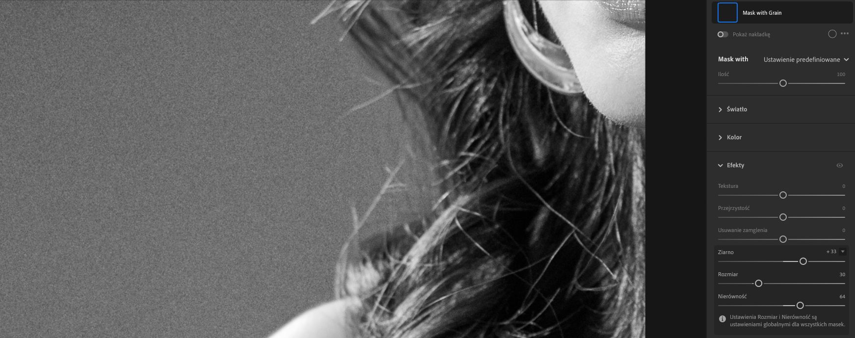 Suwak ziarna w panelu Efekty.