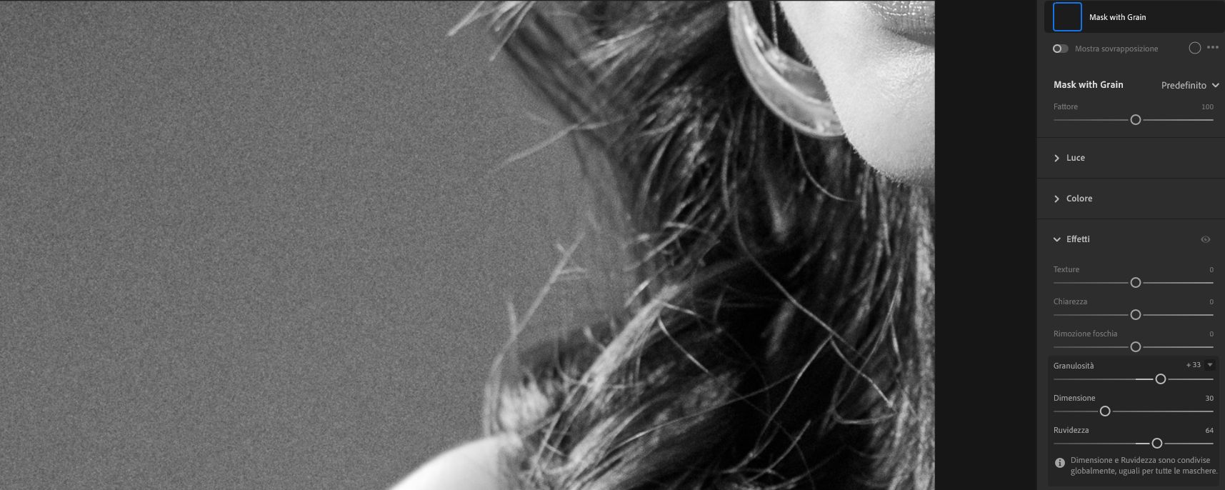 Cursore Granulosità nel pannello Effetti.