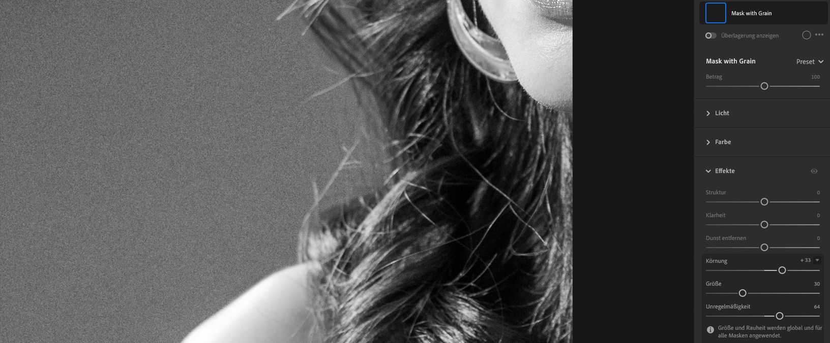 Körnungsregler im Bedienfeld „Effekte“.