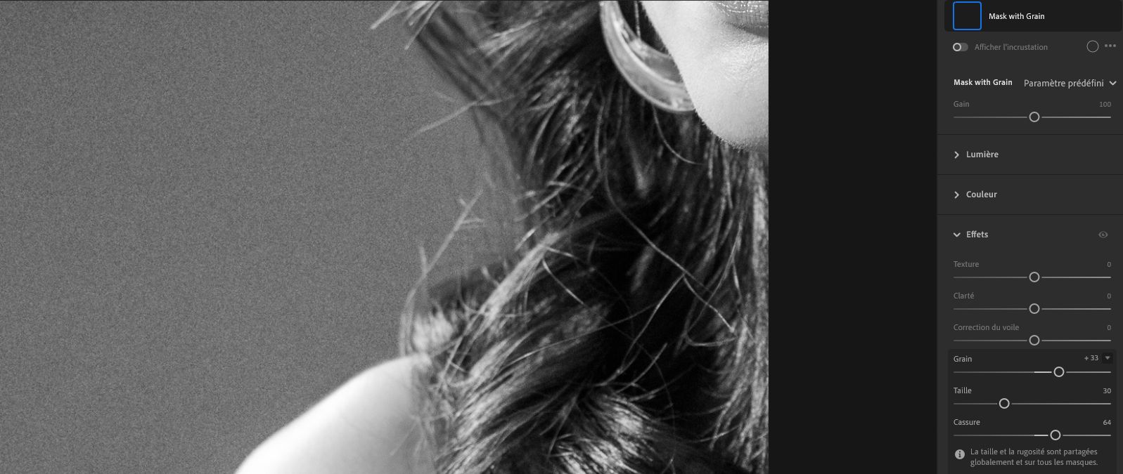 Curseur Grain dans le panneau Effets