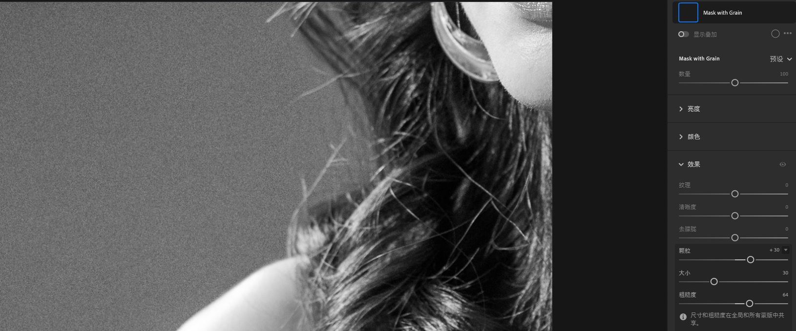 “效果”面板中的“颗粒”滑块。