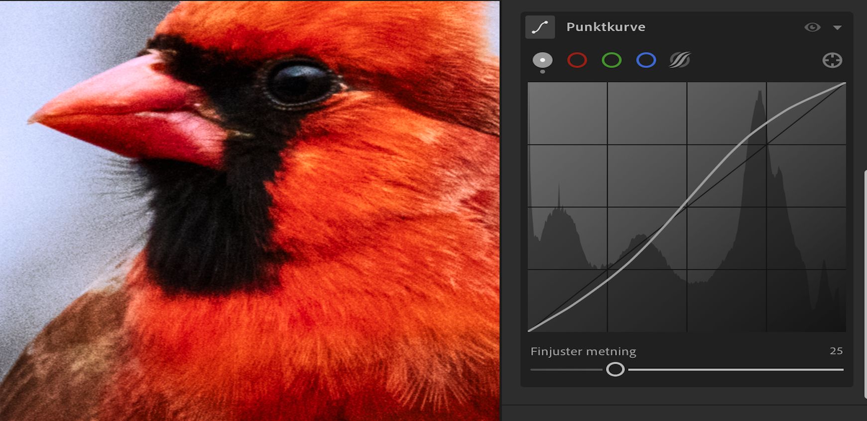 Glidebryteren Finjuster metning er satt til 100 (som standard) i Punktkurve. 