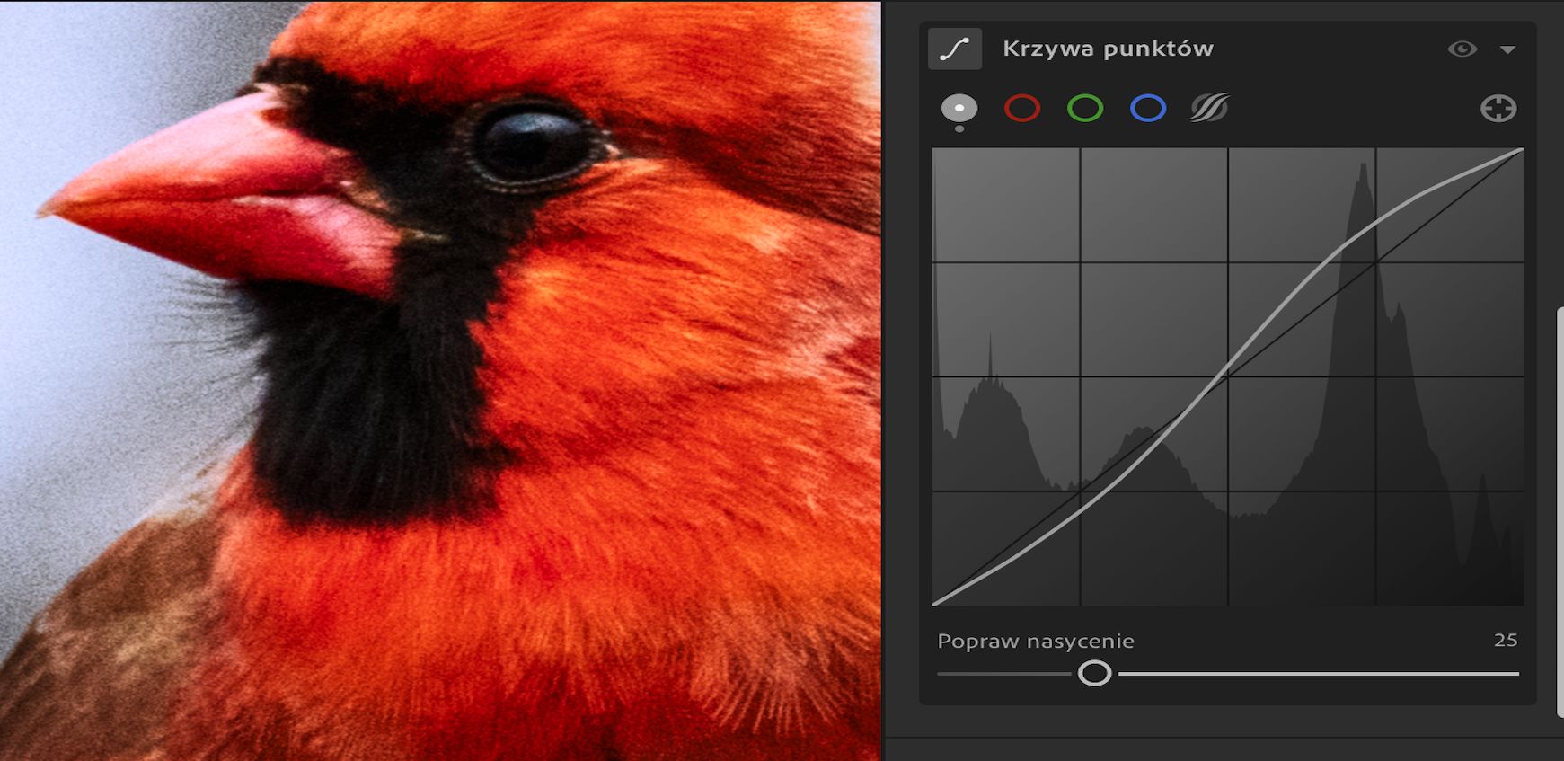 Suwak Popraw nasycenie ustawiony na 100 (domyślnie) w opcji Krzywa punktowa. 