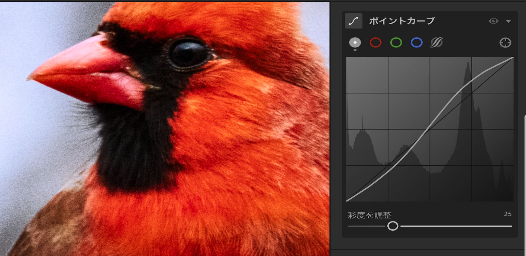 ポイントカーブの彩度を調整スライダーは、（初期設定では） 100 に設定されています。 
