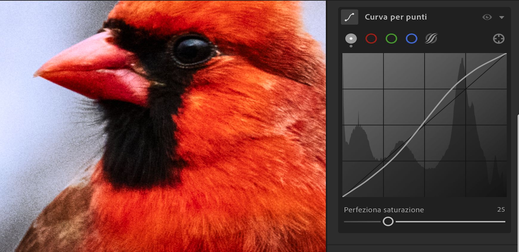 Cursore Perfeziona saturazione impostato su 100 (impostazione predefinita) in Curva per punti. 