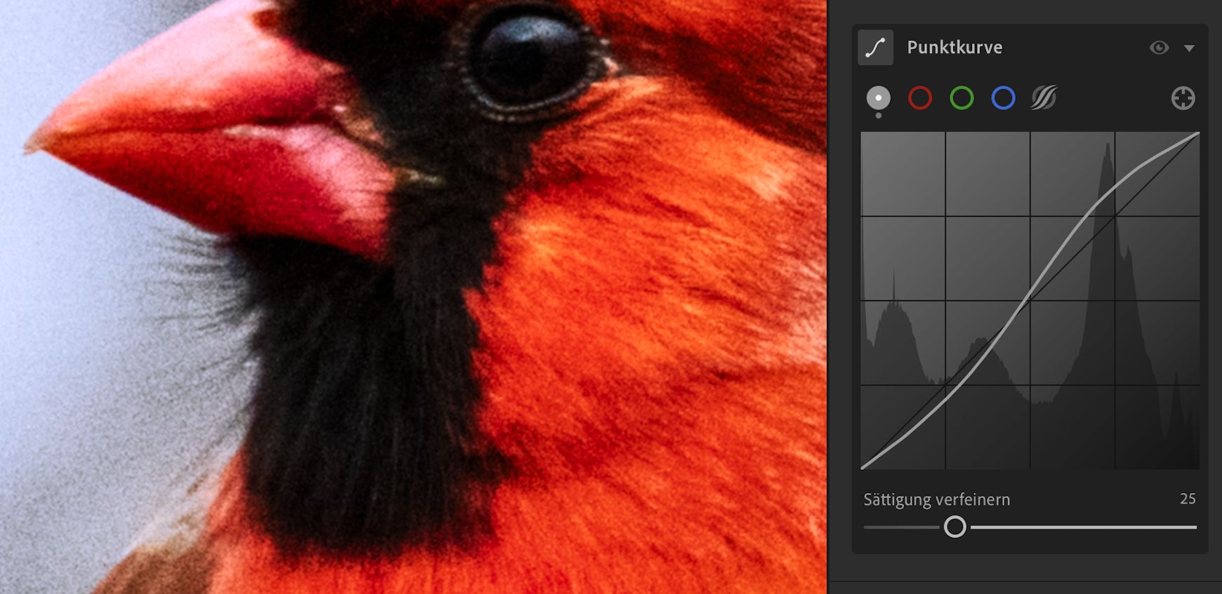 Schieberegler „Sättigung verfeinern“ in Punktkurve auf 100 eingestellt (Standardeinstellung). 