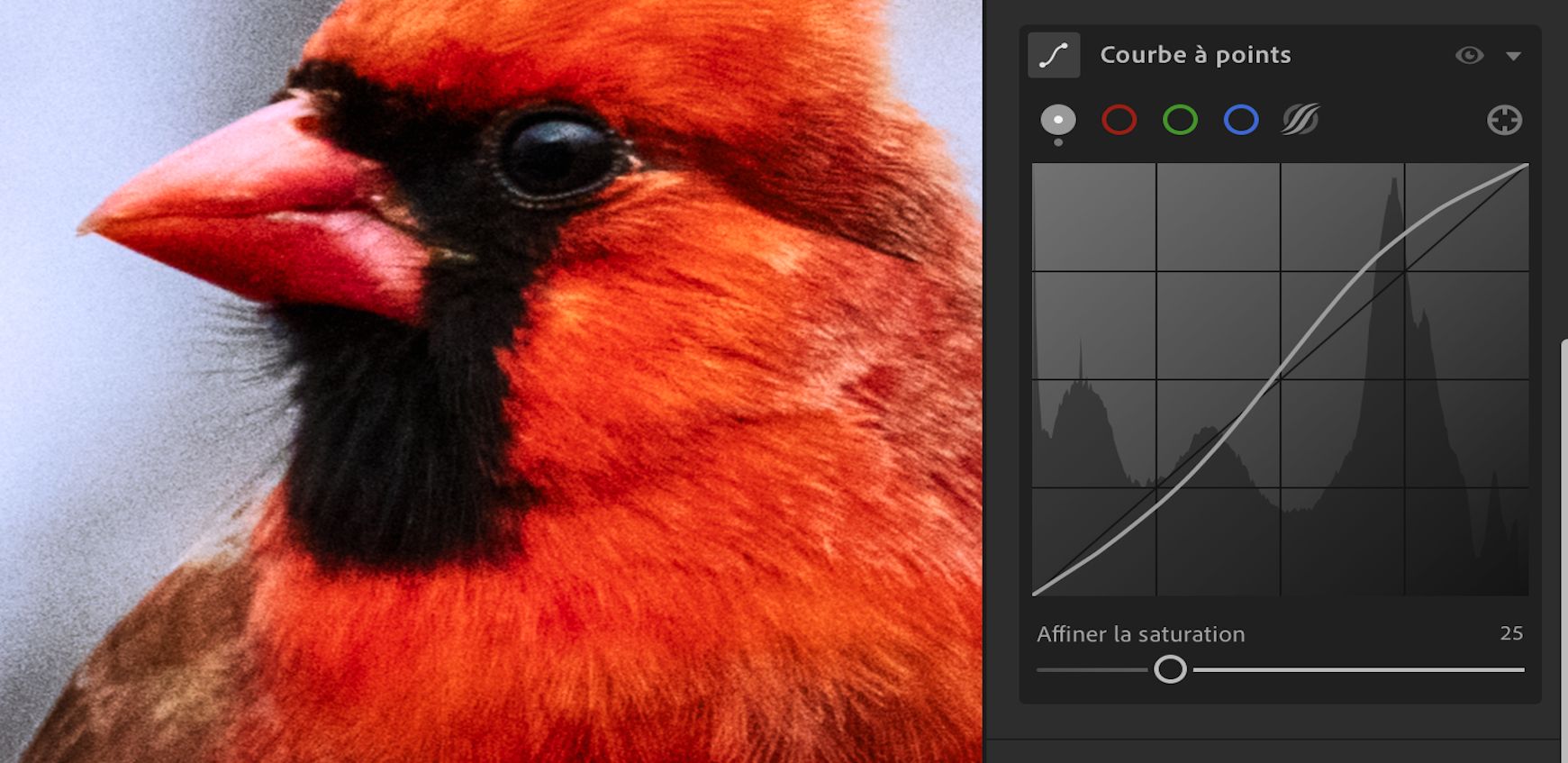 Curseur Affiner la saturation défini sur 100 (par défaut) dans Courbe à points 