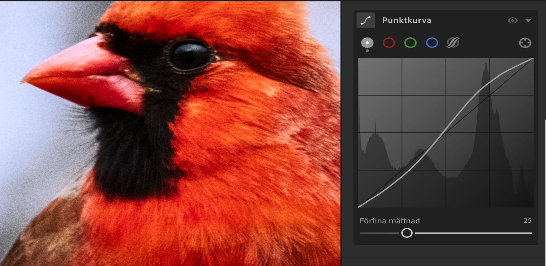 Skjutreglaget Finjustera mättnad är inställt på 100 (som standard) i Punktkurva. 