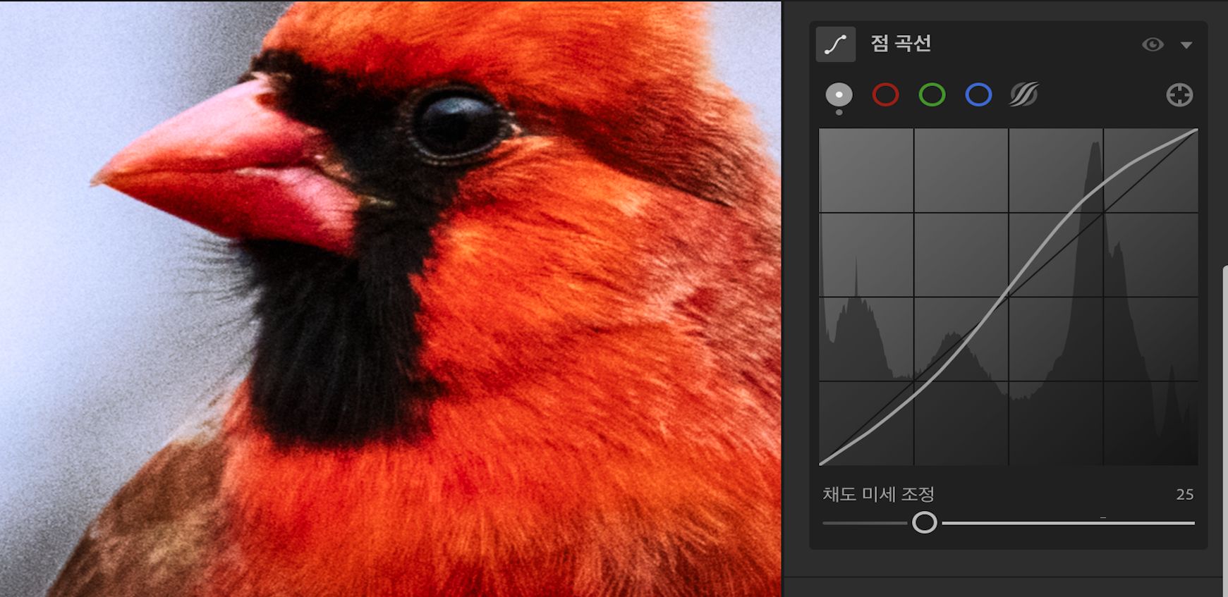 점 곡선에서 100(기본값)으로 설정된 채도 슬라이더. 