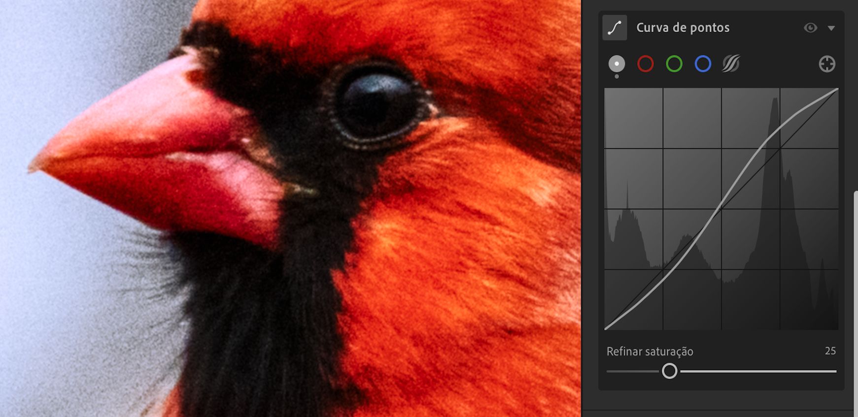 Controle deslizante Refinar saturação definido como 100 (por padrão) na Curva de pontos. 