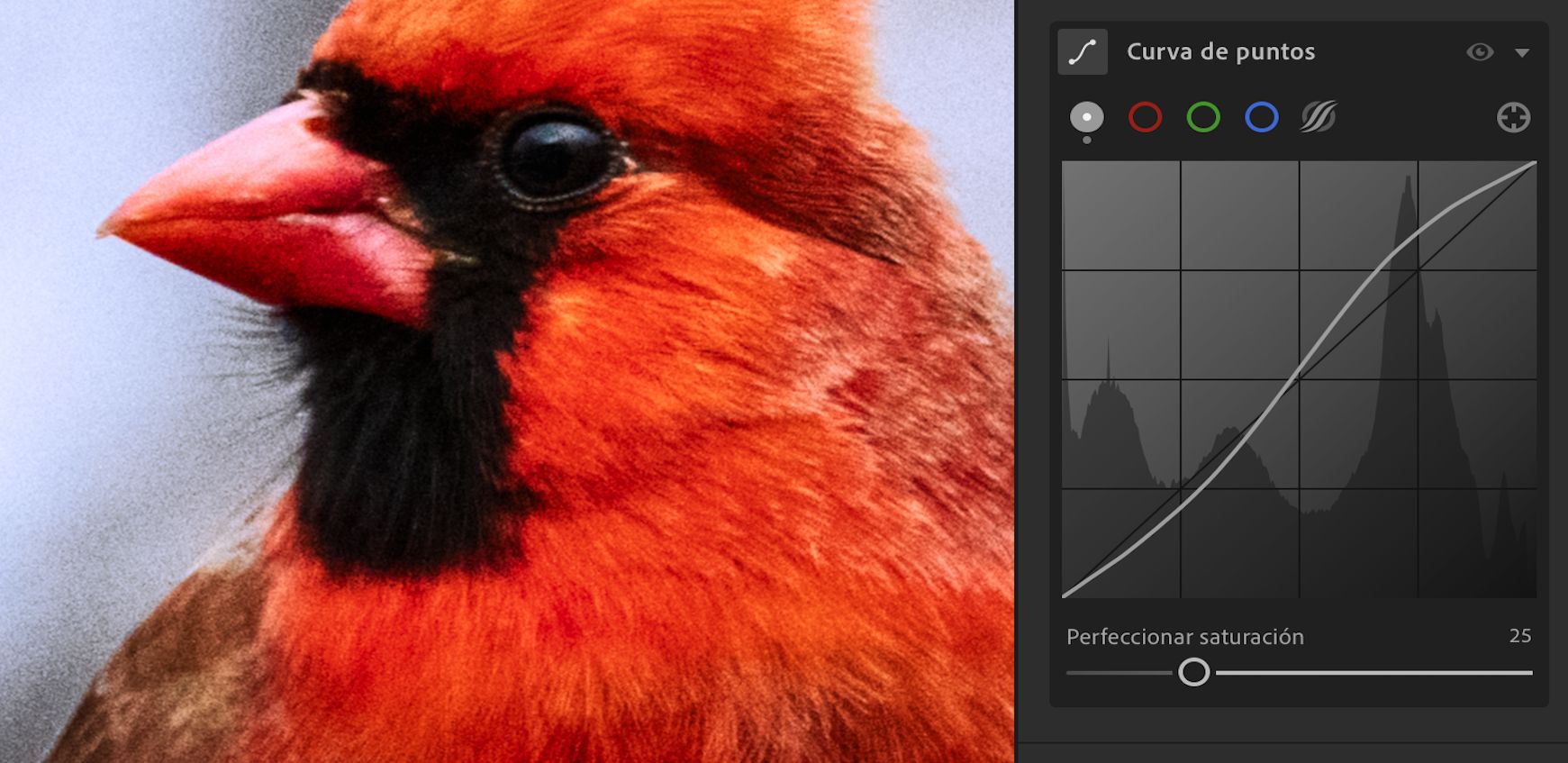 El regulador Perfeccionar saturación está establecido en 100 (de forma predeterminada) en Curva de puntos. 