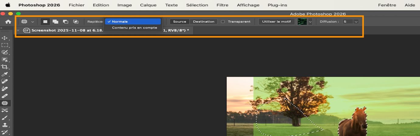 Paramètres de l’outil Pièce mis en évidence dans la barre Options.