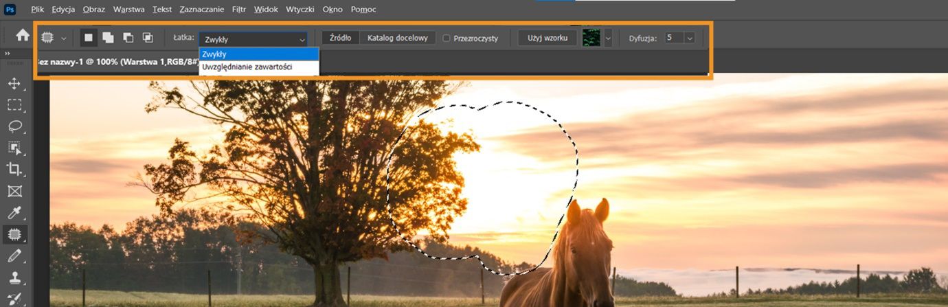 Podświetlenie ustawień narzędzia Łatka na pasku options.