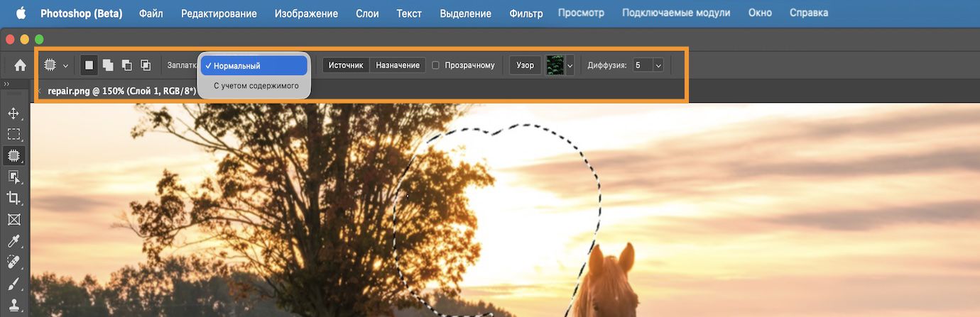 Параметры инструмента «Заплатка» выделены на панели «Параметры».