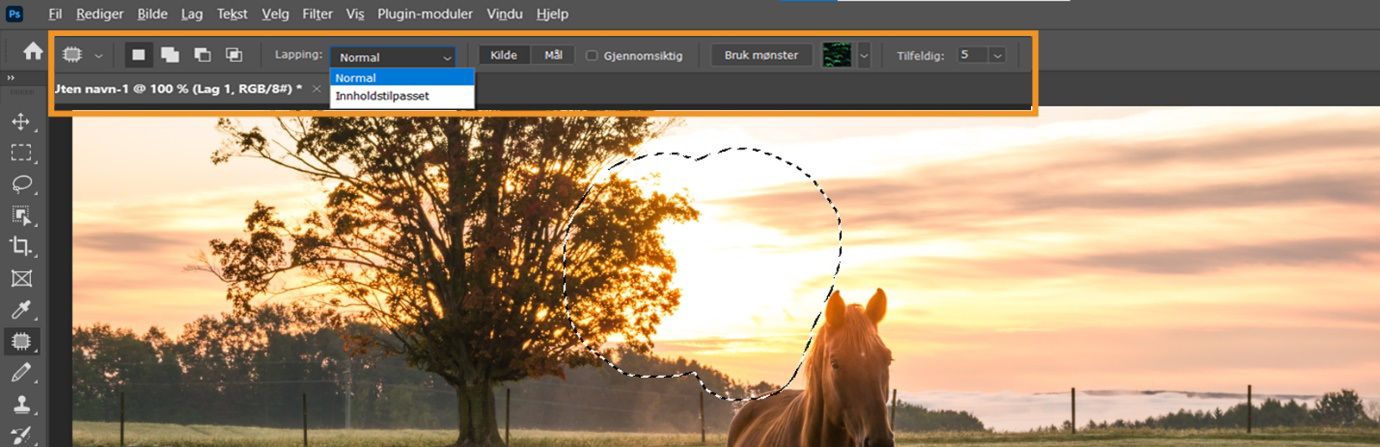 Fremheving av Lappeverktøyets innstillinger i Options-linjen.