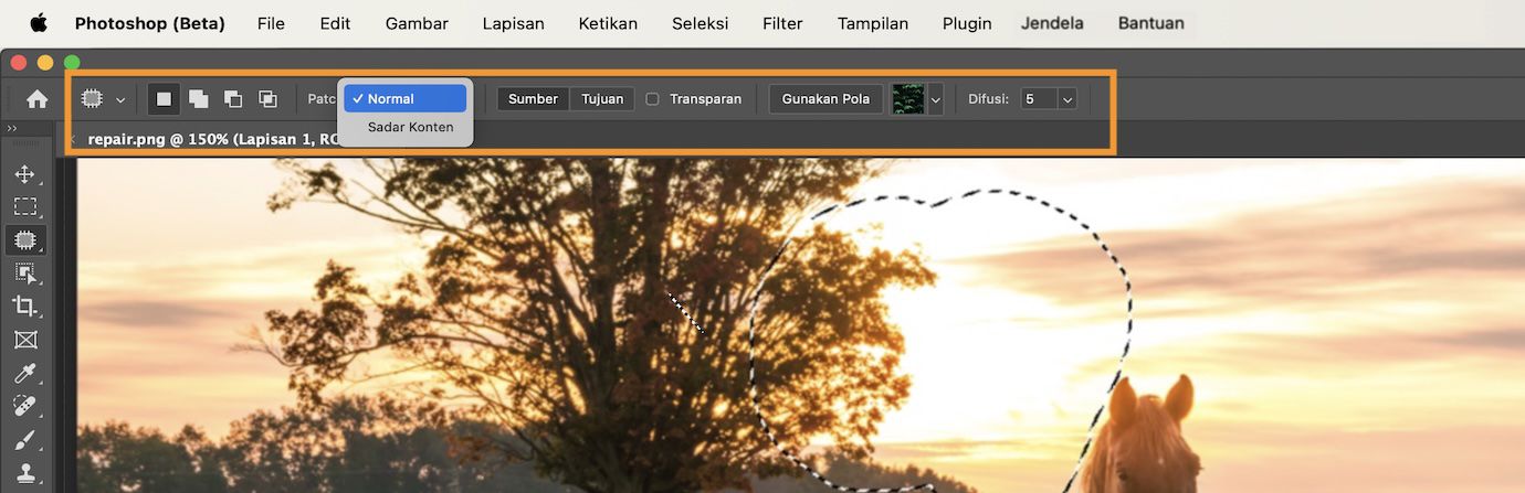 Sorotan pengaturan alat Tambalan di bar opsi.