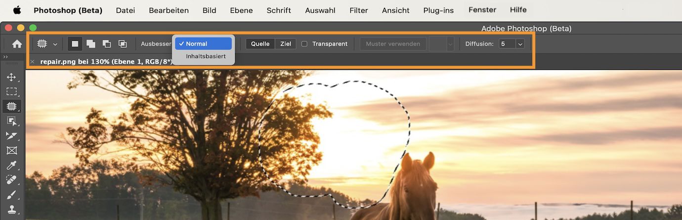 Hervorhebung der Ausbessern-Werkzeug-Einstellungen in der Optionenleiste.